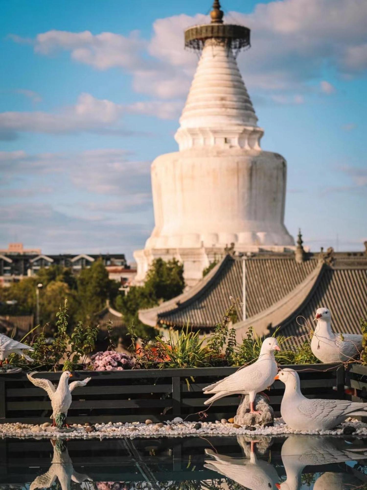 East Sacred Hotel ᴸᴱo---Foreign Accept---Tourism Service English-Speaking 丨 Near Tiananmen Forbidden City丨very Close To Metro Zhangzizhong And Beixinqiao 丨european Foot Ball English丨free Advance Tickets And Laundry Drying Service Coffee Snacks Peking Exterior foto